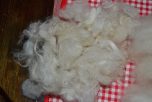 Utgångsläget ull som sköljts i rent vatten - Wool, washed in pure water