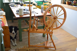 2. Spinnrocken och linslusen Nelly - the spinning wheel and our Border Collie Nelly